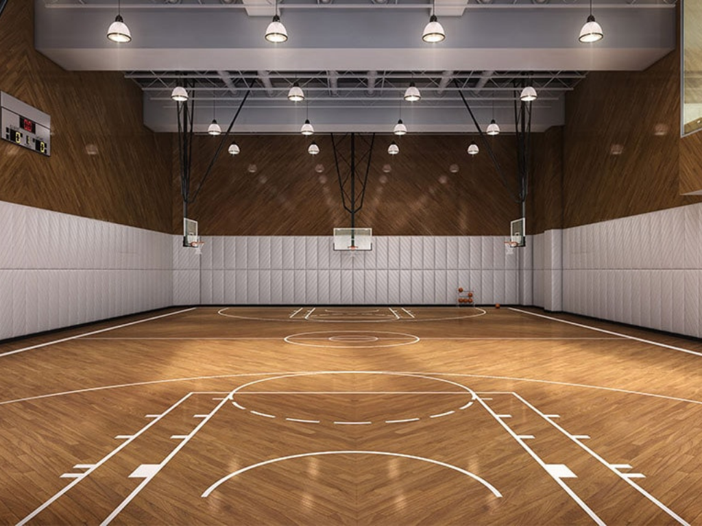 dterra basketball court